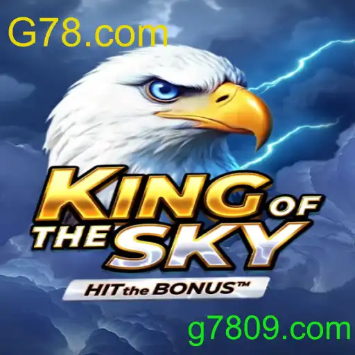 KingOfTheSky